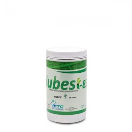 هوبست Hubest   یک کیلویی 