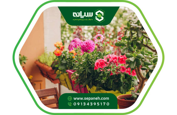 کود هیومیک اسید برای گل های آپارتمانی