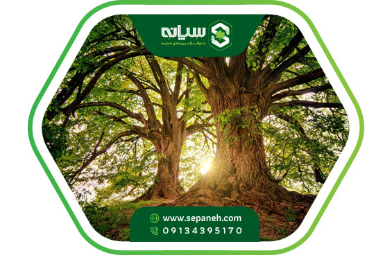 کود کامل برای درخت